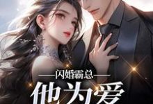 闪婚霸总,他为爱抛弃一切完整版小说,闪婚霸总,他为爱抛弃一切苏绿柔厉墨焱全章小说阅读-给力文学
