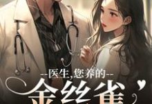 医生，您养的金丝雀要飞走了完整版小说，医生，您养的金丝雀要飞走了苏慕春丁嘉朗试读更新章节-给力文学