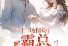 一场情劫，霸总追妻不休梁怀茵卓靖诗完结小说推荐一场情劫，霸总追妻不休全本书籍阅读-给力文学