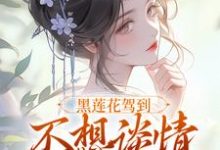黑莲花驾到不想谈情只想晋升最新完结小说黑莲花驾到不想谈情只想晋升宁司寒林妩免费小说-给力文学