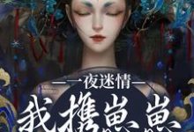 (全文)一夜迷情,我携崽崽俘获他(云素予段凌霁)全本免费在线阅读-给力文学