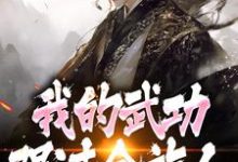 完了！我的武功强过全族人林枫最新完结小说，完了！我的武功强过全族人全本免费在线阅读-给力文学