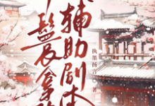 丫鬟拿稳辅助剧本完整版小说丫鬟拿稳辅助剧本(傅初霁)全章小说阅读-给力文学