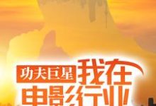 功夫巨星：我在电影行业做武替（唐龙）全章小说阅读-给力文学