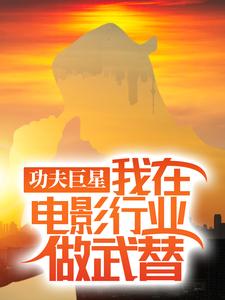 功夫巨星：我在电影行业做武替（唐龙）全章小说阅读