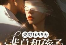 谢南枝失明1099天，裴总和孩子我都不要了全本免费在线阅读-给力文学