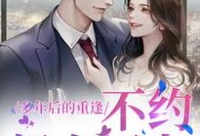 多年后的重逢,不约,姐有男友(禾念安池少东)全章小说阅读-给力文学