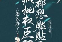 (全文)怎么办？疯批权臣每天都想贴贴我顾轻舟完结小说推荐怎么办？疯批权臣每天都想贴贴我试读更新章节-给力文学