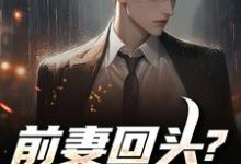 (全文)前妻回头？可惜，迟了！秦风全本免费在线阅读-给力文学