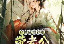 (全文)穿越成童养媳，带老公荒年发大财热门小说排行榜，穿越成童养媳，带老公荒年发大财林十七全章小说阅读-给力文学