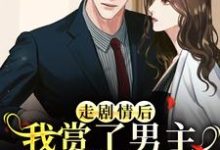 (全文)走剧情后，我赏了男主三个巴掌练手江淮宁全本免费在线阅读-给力文学