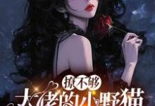 撩不够，大佬的小野猫又欲又嚣张最新章节阅读撩不够，大佬的小野猫又欲又嚣张(陆晨矅)试读更新章节-给力文学