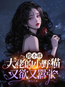 撩不够，大佬的小野猫又欲又嚣张热门小说排行榜撩不够，大佬的小野猫又欲又嚣张陆晨矅免费小说全本