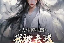 (全文)人生模拟器：我被老婆逼成世间极境（白棋陈北玄）试读更新章节人生模拟器：我被老婆逼成世间极境免费小说-给力文学