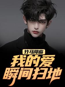 竹马降临，我的爱瞬间扫地推荐完结小说，竹马降临，我的爱瞬间扫地江书正免费小说全本