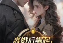 (全文)离婚后崛起，绝美前妻高攀不起（李川）试读更新章节离婚后崛起，绝美前妻高攀不起免费小说-给力文学