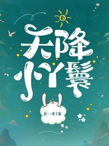 (全文)天降小丫鬟（夏夏）全本书籍阅读天降小丫鬟免费小说全本
