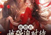 新婚夜被强迫对待，这叫不近女色？完整版小说，新婚夜被强迫对待，这叫不近女色？谢临珩虞听晚试读更新章节-给力文学