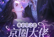 薰衣草之恋,京圈大佬暗恋我最新章节阅读薰衣草之恋,京圈大佬暗恋我(宁清灵)试读更新章节-给力文学