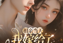 (全文)相亲当天，我嫁给了京都首富蓝冉最新完结小说相亲当天，我嫁给了京都首富免费阅读-给力文学