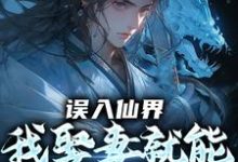 误入仙界，我娶妻就能天下无敌推荐完结小说误入仙界，我娶妻就能天下无敌(许世安)免费小说全本-给力文学