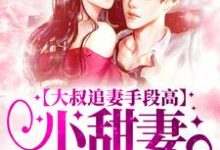 大叔追妻手段高,小甜妻逃不掉叶柠谢聿礼最新完结小说,大叔追妻手段高,小甜妻逃不掉全本免费在线阅读-给力文学