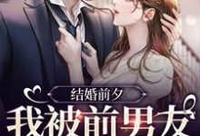 结婚前夕，我被前男友带走了薄寒深曲南枝热门小说排行榜结婚前夕，我被前男友带走了免费小说-给力文学
