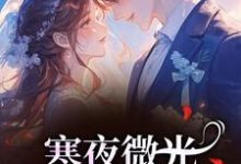 寒夜微光:她的逆袭人生袁小苔最新完结小说,寒夜微光:她的逆袭人生全本免费在线阅读-给力文学