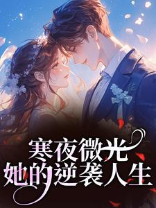 寒夜微光：她的逆袭人生袁小苔最新完结小说，寒夜微光：她的逆袭人生全本免费在线阅读