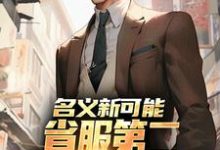 (全文)名义新可能：省服第二能否逆转大局免费小说全本，萧承试读更新章节-给力文学