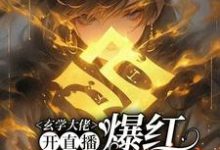 玄学大佬开直播,爆红阴阳两界虞初见孟白首完结小说推荐,玄学大佬开直播,爆红阴阳两界全章小说阅读-给力文学
