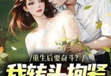 李子玉重生后要奋斗？我转头抱紧富婆大腿全本免费在线阅读-给力文学