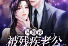 闪婚夜，被残疾老公撩到腿软推荐完结小说，闪婚夜，被残疾老公撩到腿软夏雨惜免费小说全本-给力文学