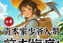 七零：资本家少爷入赘，前夫悔疯推荐完结小说，七零：资本家少爷入赘，前夫悔疯苏小满免费小说全本-给力文学