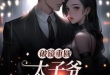 (全文)破镜重圆：太子爷他太霸道（黎念靳宴深）免费小说破镜重圆：太子爷他太霸道试读更新章节-给力文学