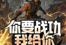 你要战功我给你，妖兽入侵你哭啥热门小说排行榜你要战功我给你，妖兽入侵你哭啥叶天免费小说全本-给力文学