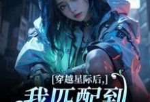 穿越星际后,我匹配到九个大冤种完整版小说,穿越星际后,我匹配到九个大冤种洛千试读更新章节-给力文学