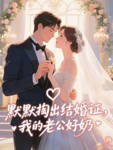 默默掏出结婚证，我的老公好奶热门小说排行榜默默掏出结婚证，我的老公好奶宋禧免费小说全本
