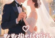 默默掏出结婚证,我的老公好奶宋禧热门小说排行榜默默掏出结婚证,我的老公好奶免费小说-给力文学