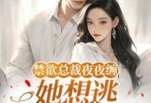 禁欲总裁夜夜缠,她想逃却逃不掉(温澜)全章小说阅读-给力文学
