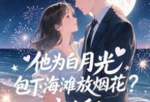 他为白月光包下海滩放烟花?离婚!(霍宴州云初)全章小说阅读-给力文学