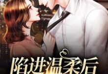 (全文)陷进温柔后，他宠上瘾了免费小说全本，甘棠许应试读更新章节-给力文学