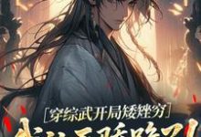 穿综武开局矮矬穷，我让天骄跪了！（武直）全本书籍阅读穿综武开局矮矬穷，我让天骄跪了！完整版小说-给力文学