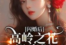 闪婚后,高岭之花人设崩塌了推荐完结小说,闪婚后,高岭之花人设崩塌了苏酥免费小说全本-给力文学