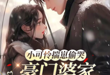 (全文)小可怜揣崽偷哭，豪门婆家来团宠完结小说推荐苏念念全本书籍阅读-给力文学