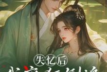 (全文)失忆后，我疯狂倒追冷面世子（沈云桉）全本书籍阅读失忆后，我疯狂倒追冷面世子免费小说全本-给力文学