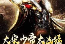 (全文)大宋少帝太凶猛，胡虏跪求放过完结小说推荐赵炳全本书籍阅读-给力文学