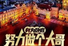 身为卧底，努力做个大哥不过分吧白舟完结小说推荐，身为卧底，努力做个大哥不过分吧全章小说阅读-给力文学