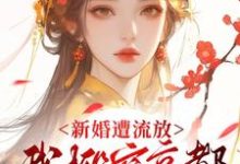 (全文)新婚遭流放，我搬空京都去逃荒完结小说推荐桑晚柠全本书籍阅读-给力文学
