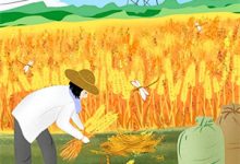 谢辞 乔愿小说怎奈缘起却浅薄在线阅读-给力文学